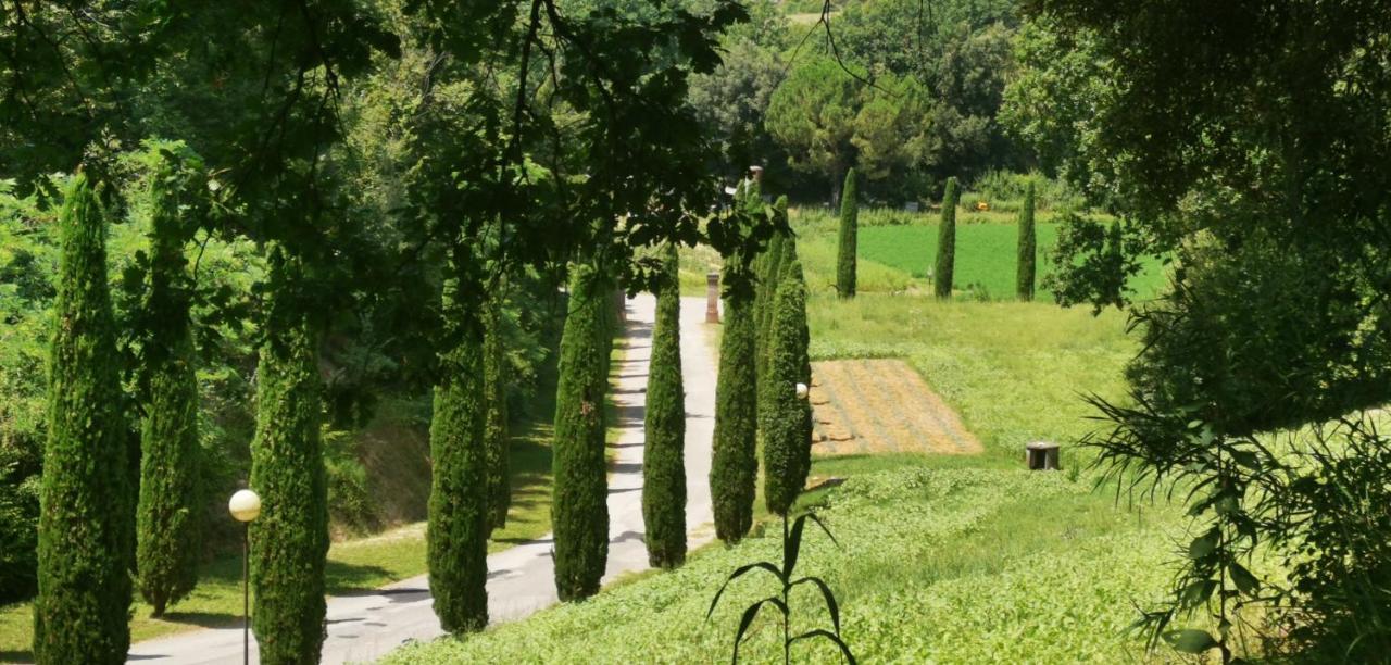 Agriturismo Cascina Cipressa San Romano  Exteriör bild