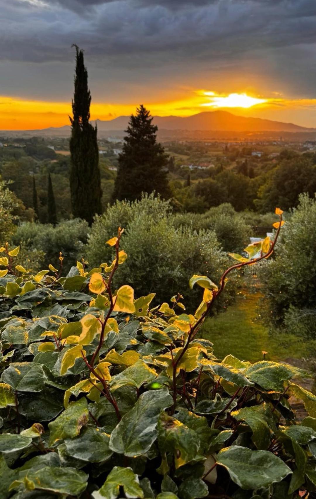 Agriturismo Cascina Cipressa San Romano  Exteriör bild